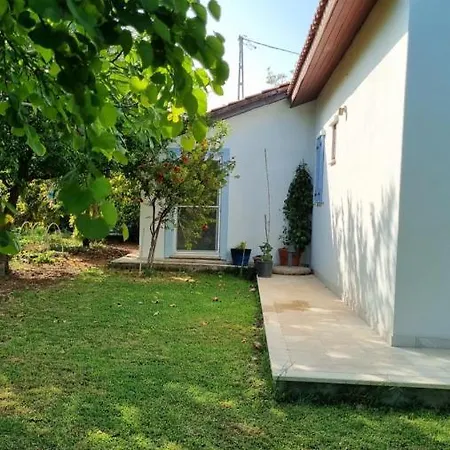 Daki Eviniz Mese Agaci * Datca