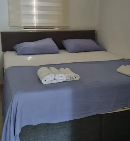 Villa Daki Eviniz Mese Agaci